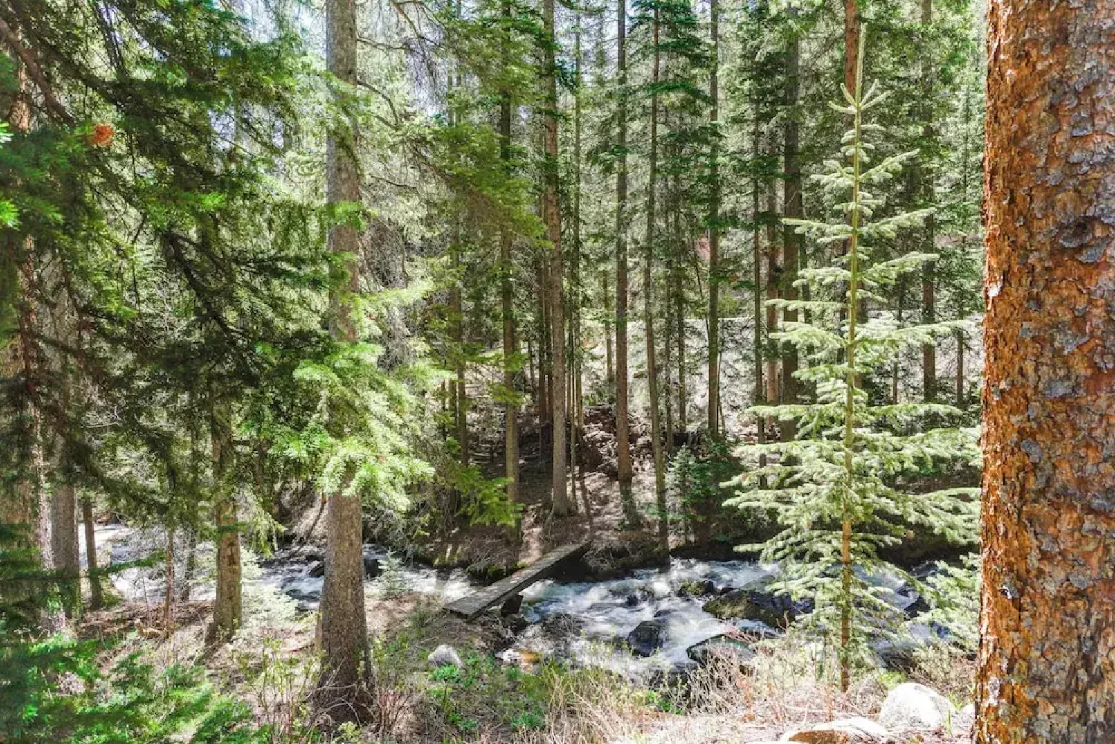 Riverside Colorado Cabin w/ Deck & Hot Tub