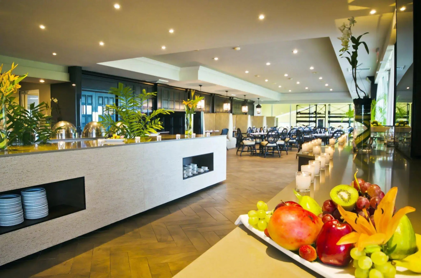 Gamboa Rainforest Reserve