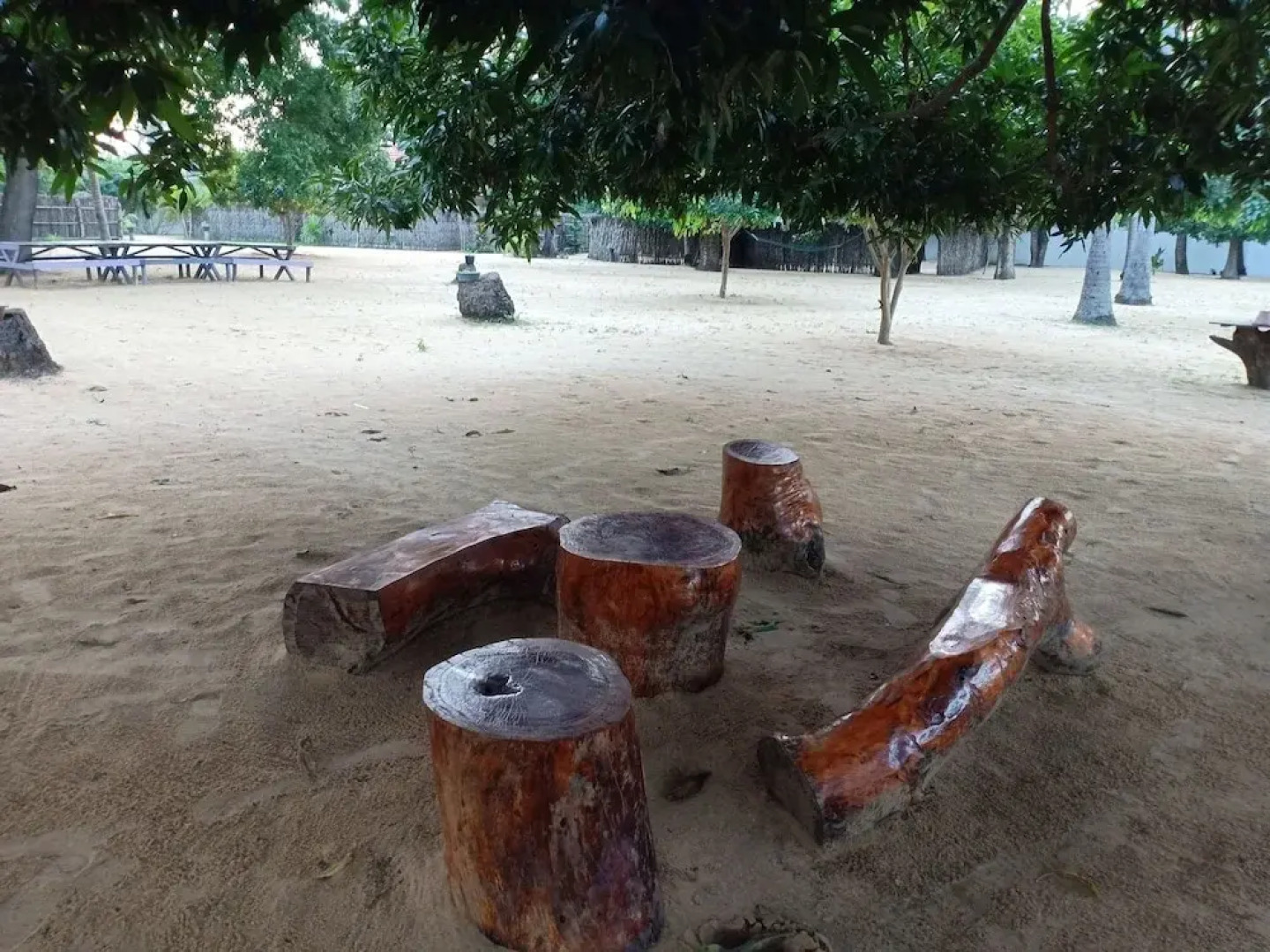 Sunset Safari & Resort