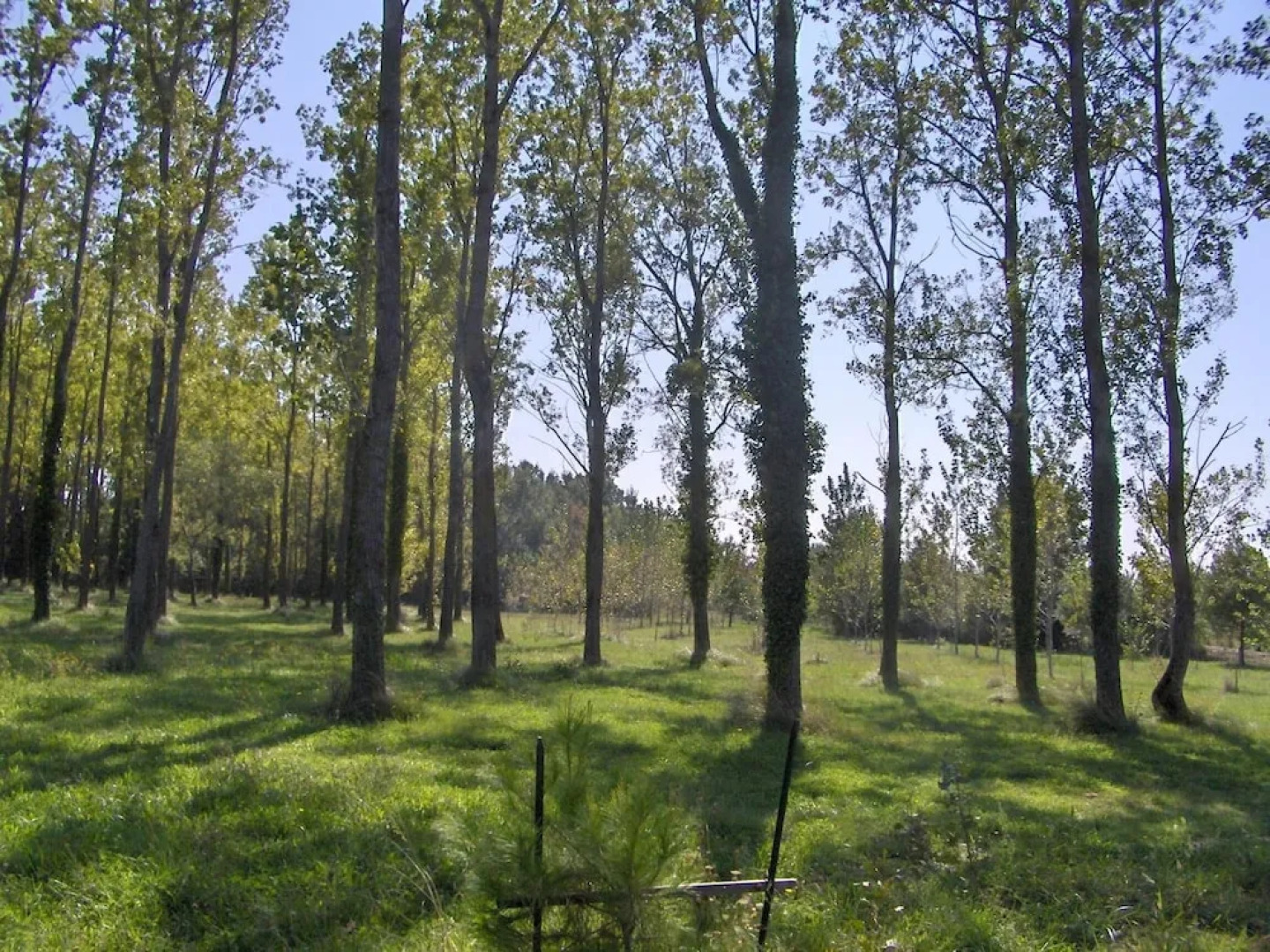 Hôtel Résidence Les Peupliers