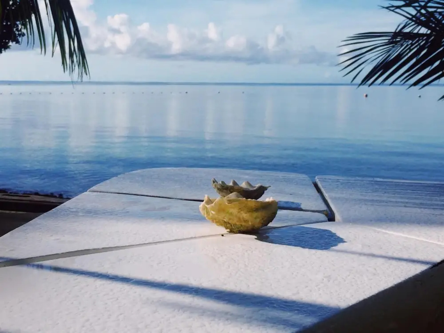 Nature Island Resort