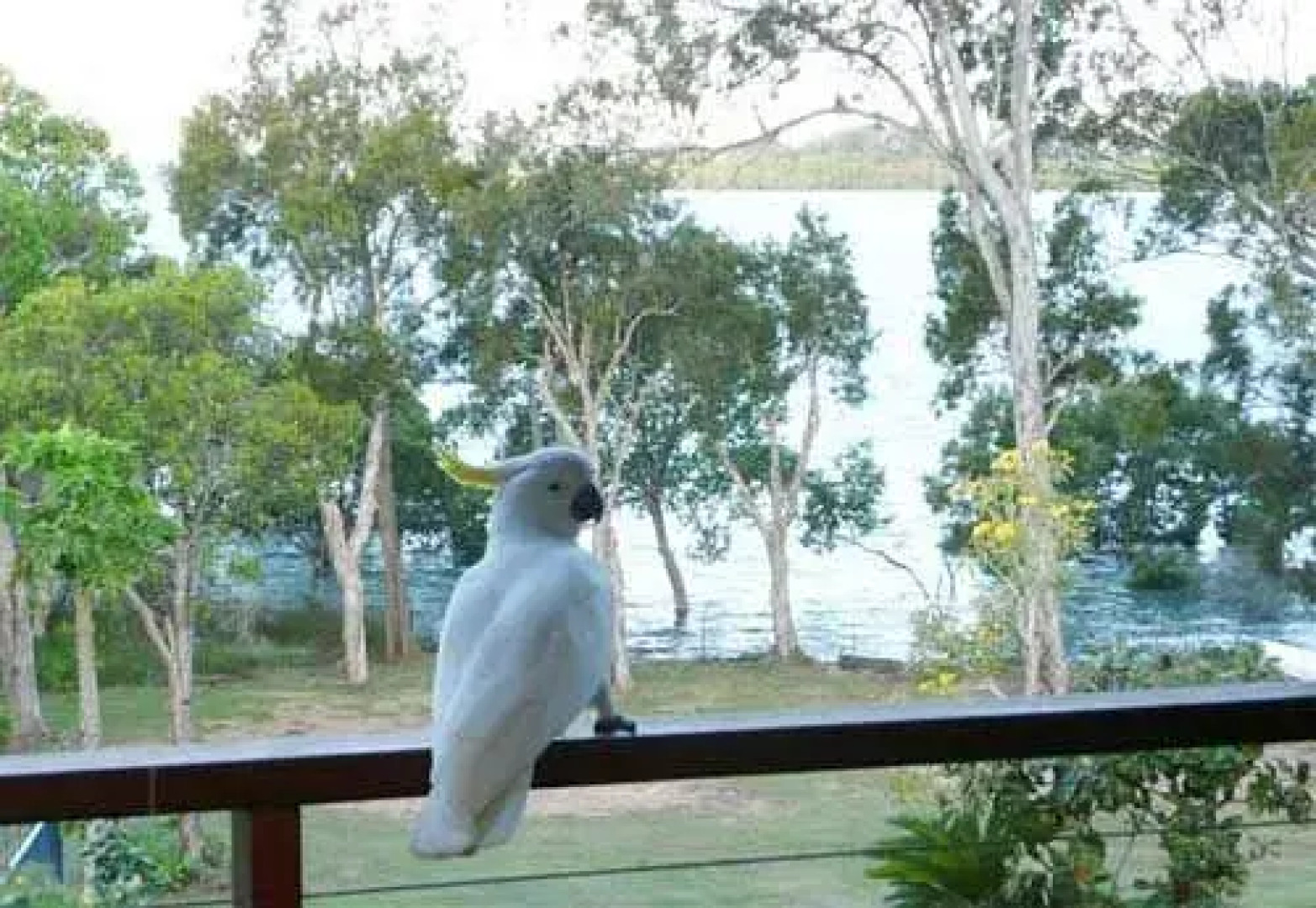 Yarrandabbi Dreaming Boutique B&B