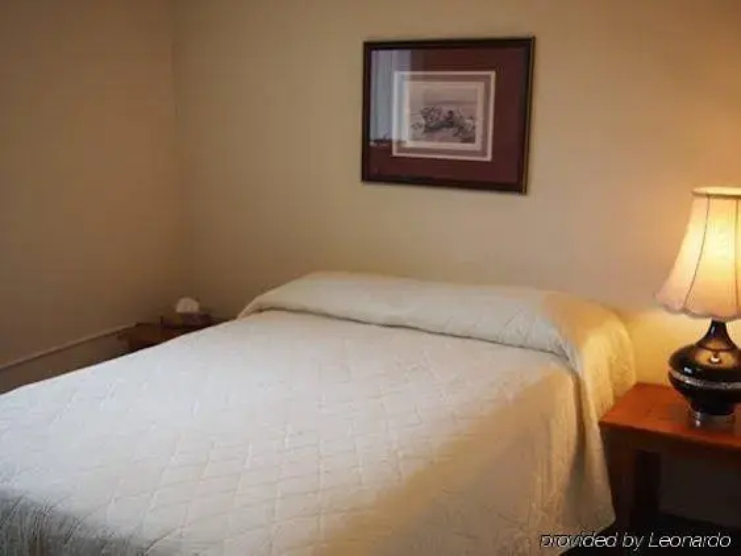 Whale's Tail Guest Suites