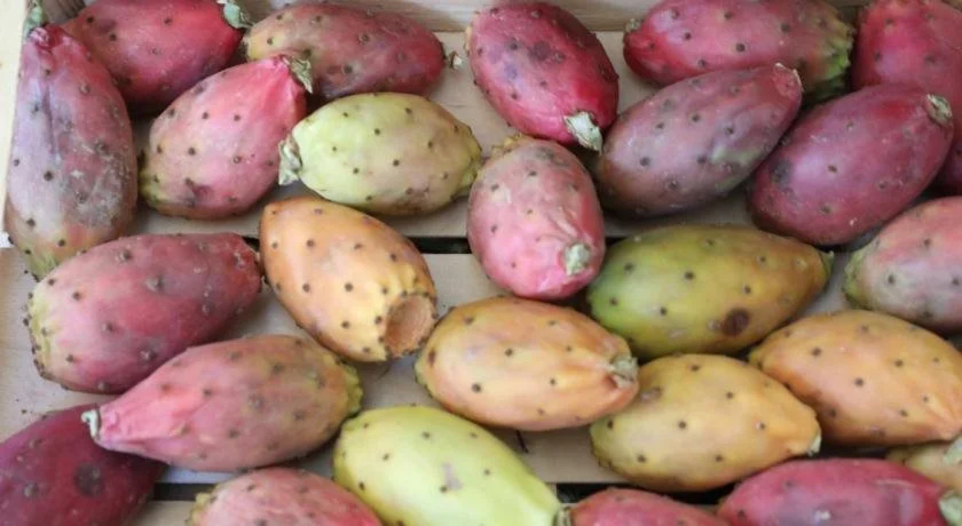 La Dimora del Castelluccio
