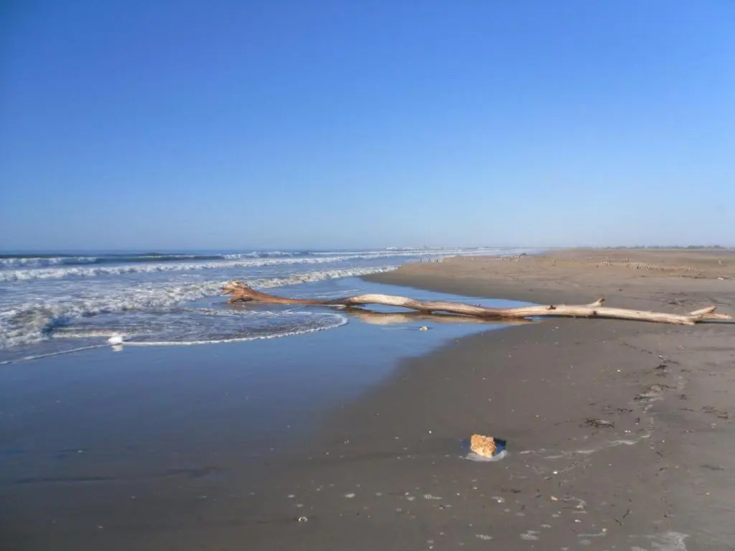 chambre les flamants