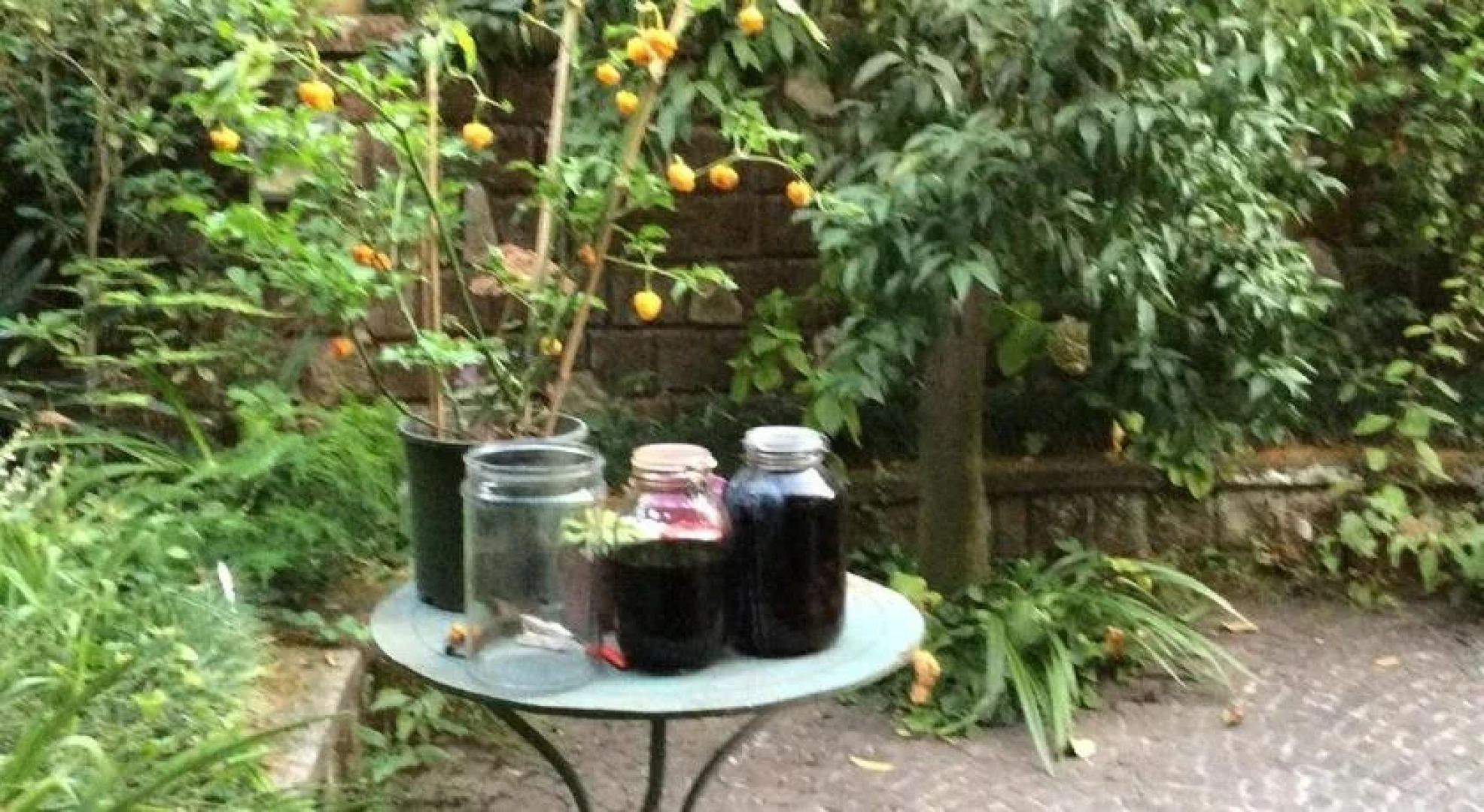 bed & breakfast Casa Damiani