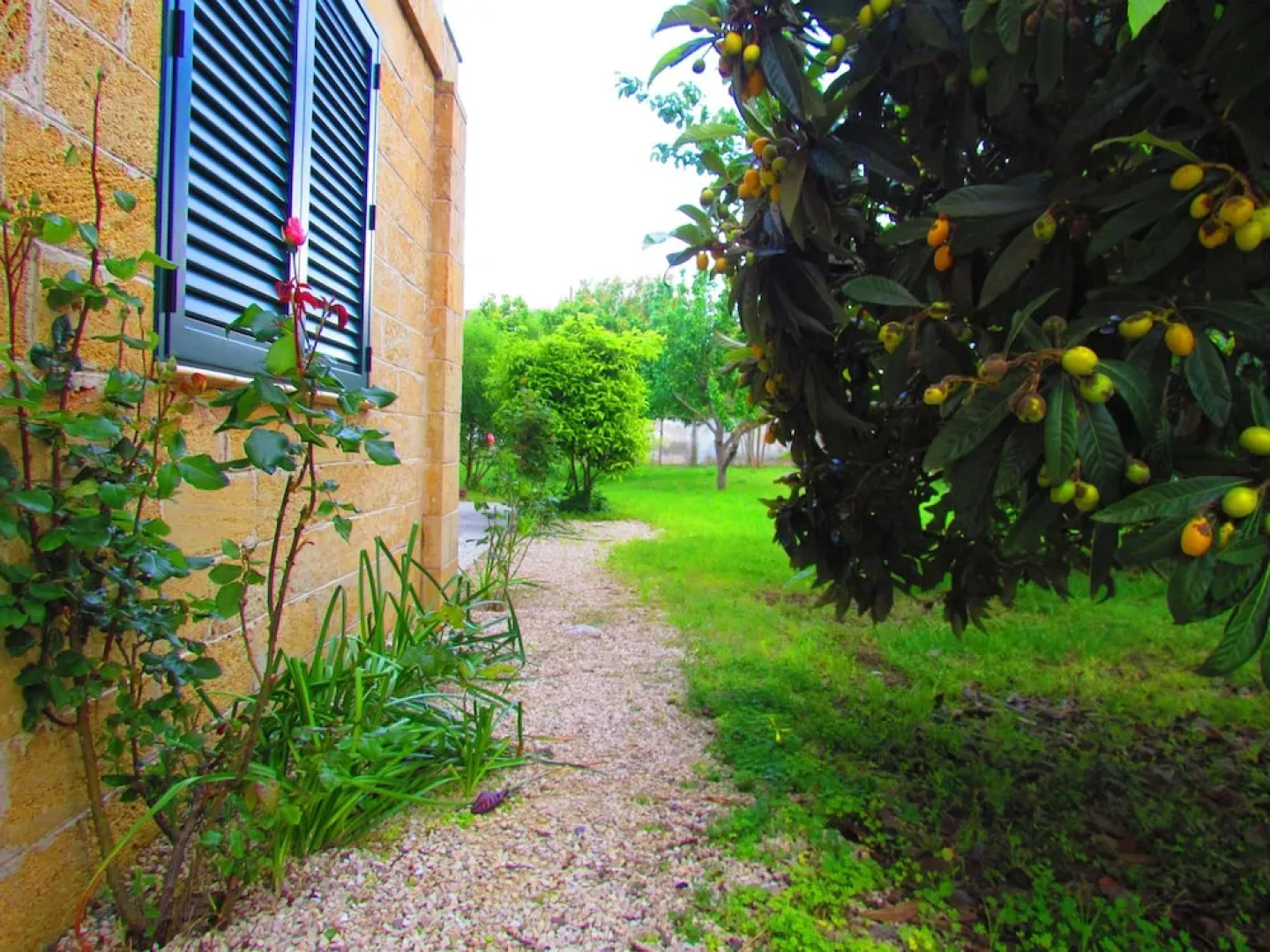 Appartamento Vicino la Spiaggia