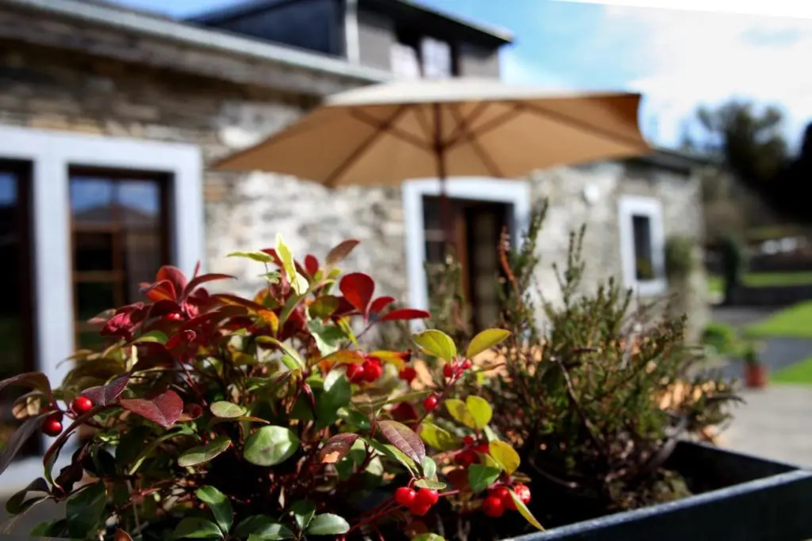 Une parenthèse en Ardenne