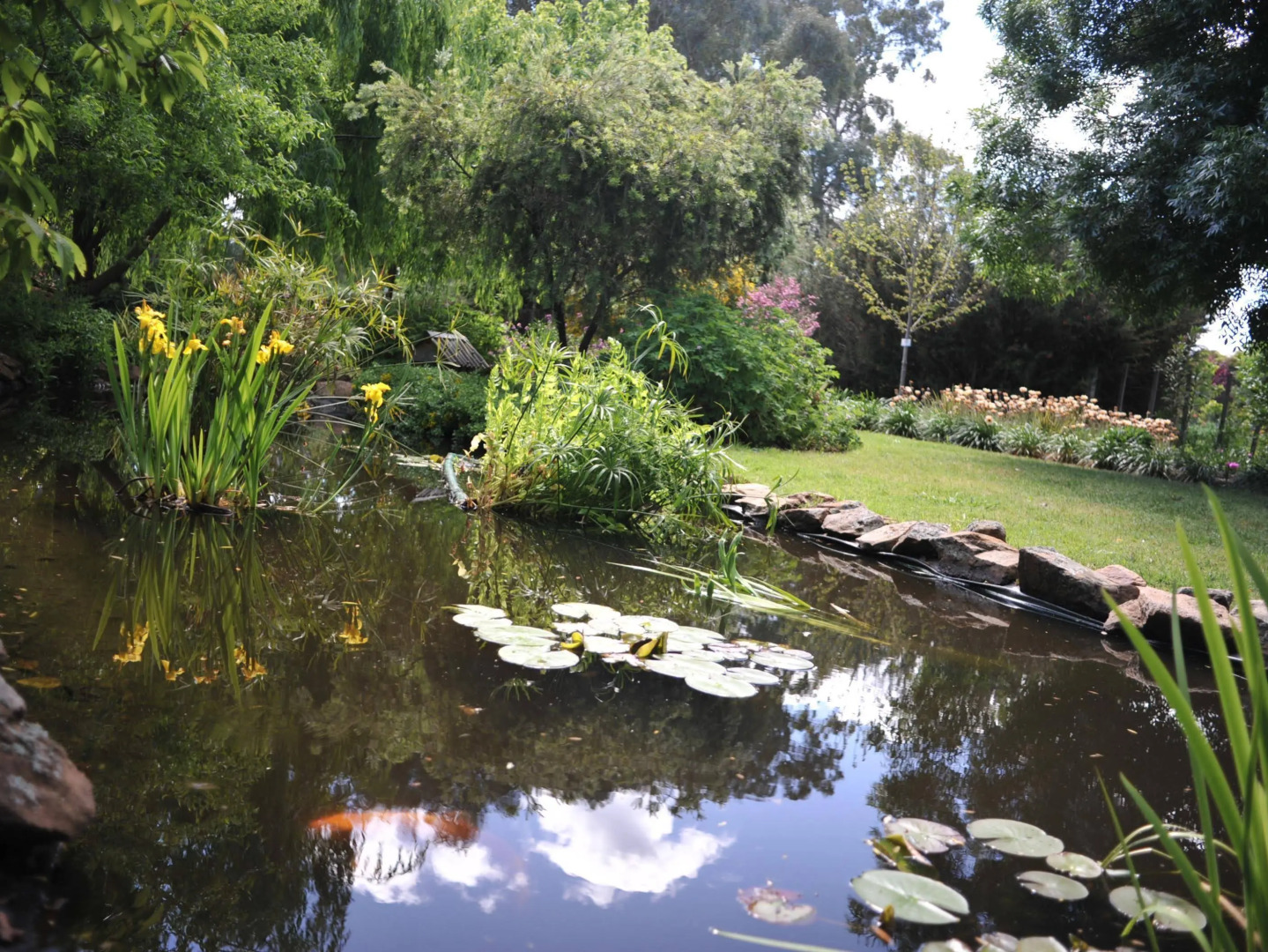 Stableford House Bed and Breakfast