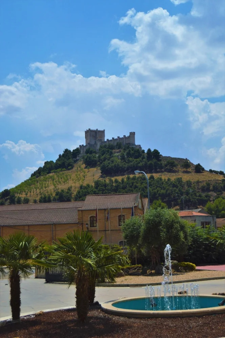 Hotel Ribera del Duero