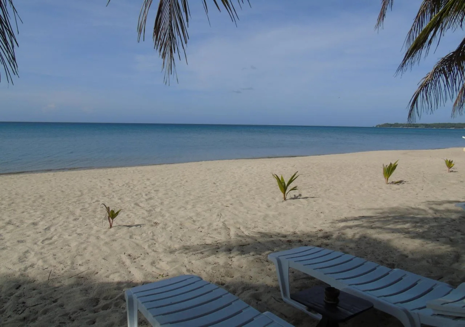 Phaidon Beach Resort