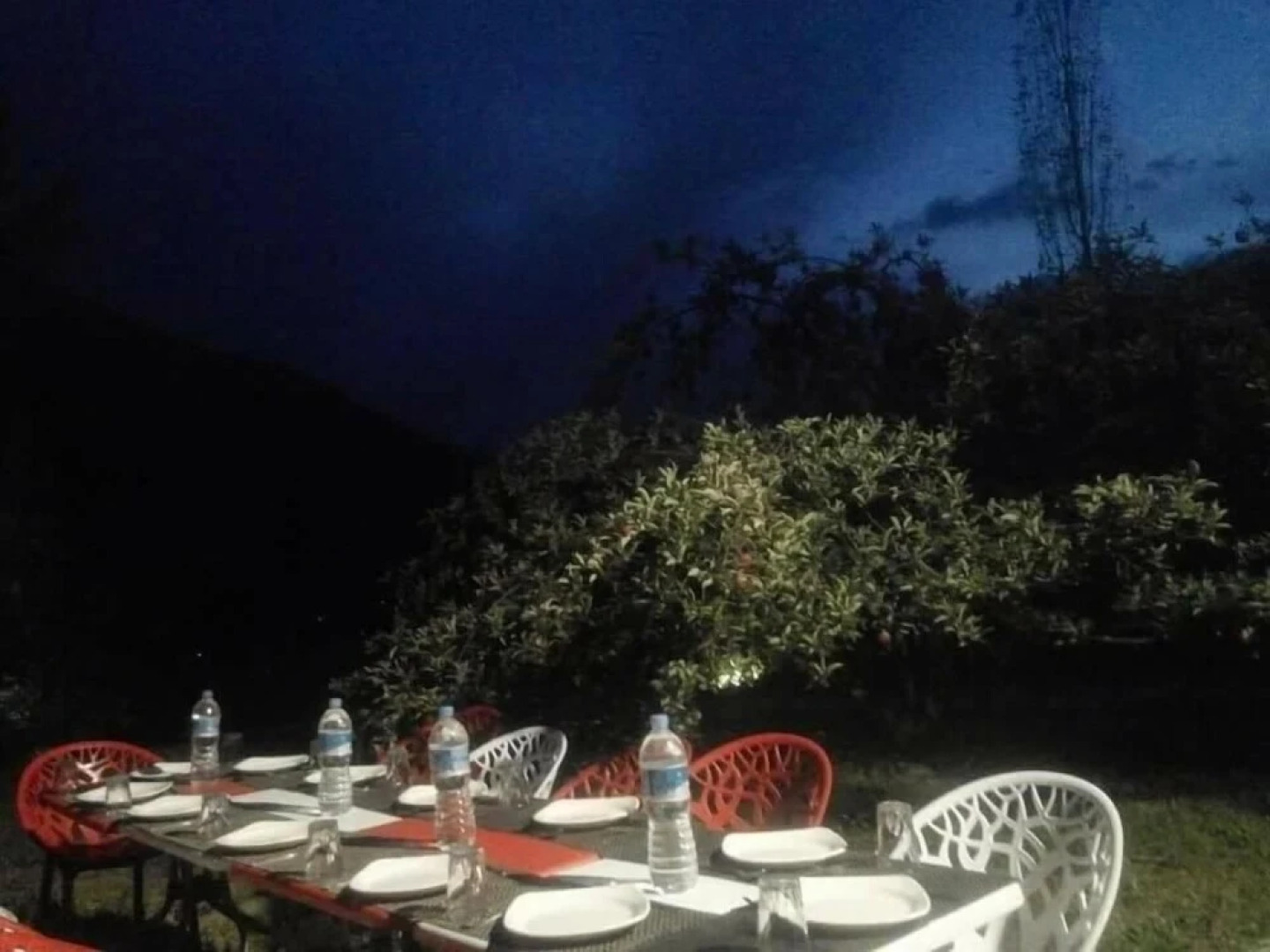 Grapes Garden Resort Hunza