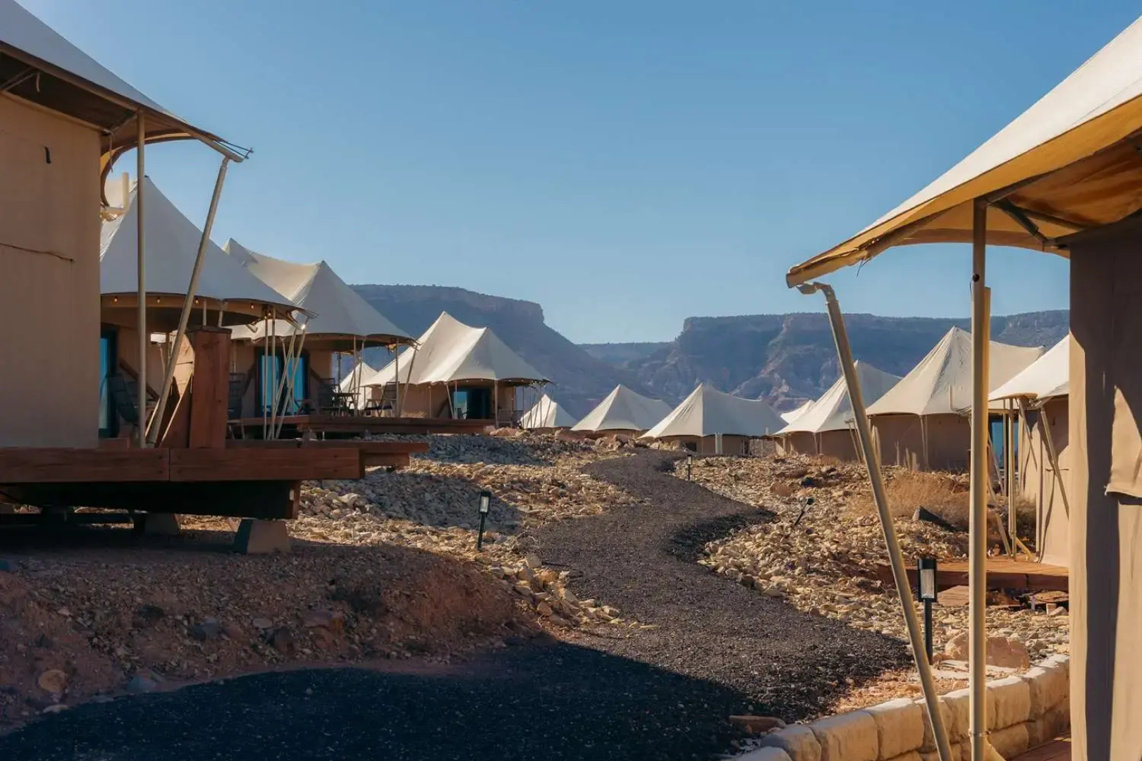 Zion Wildflower, BW Premier Collection