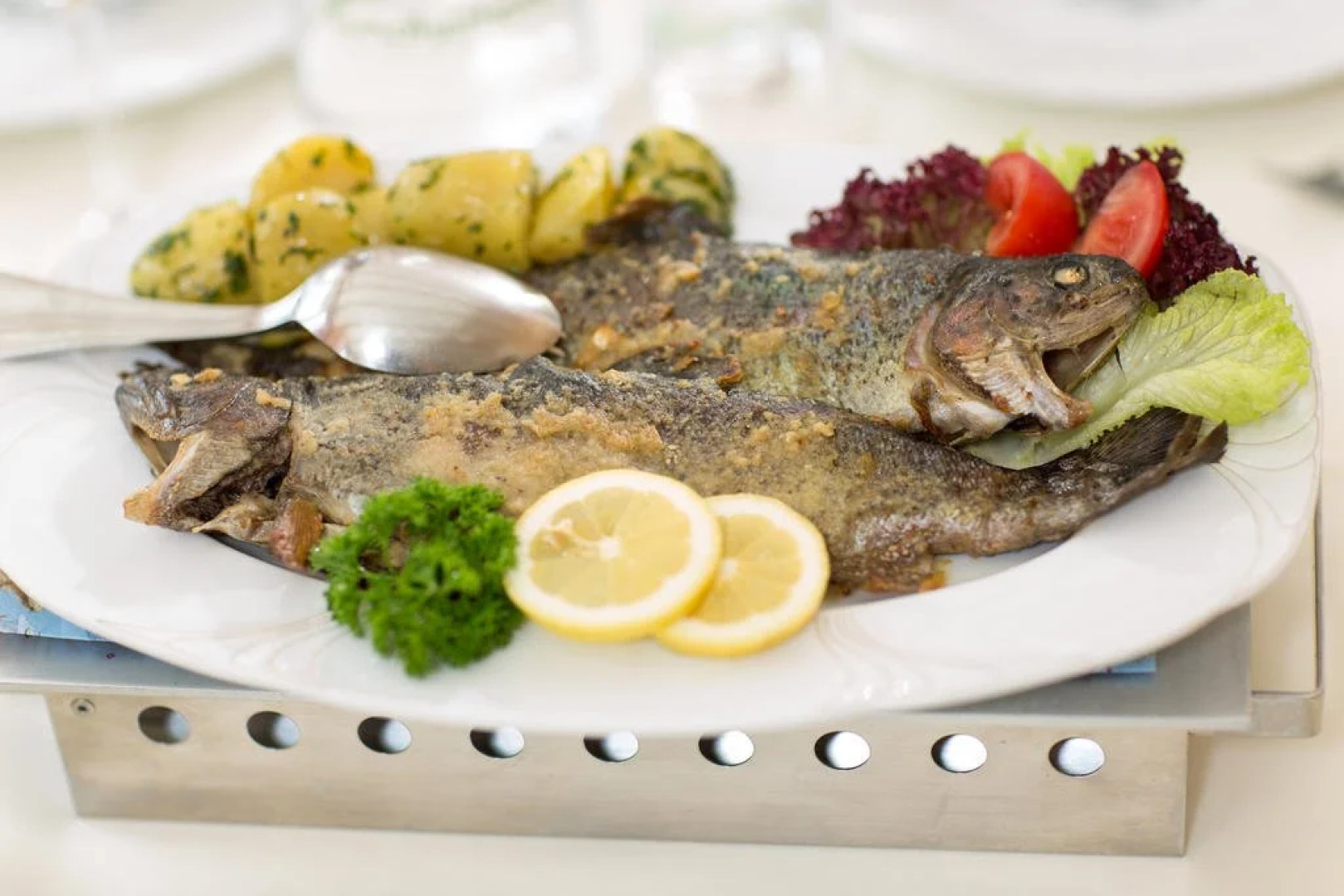 Gasthof-Pension Nordwald