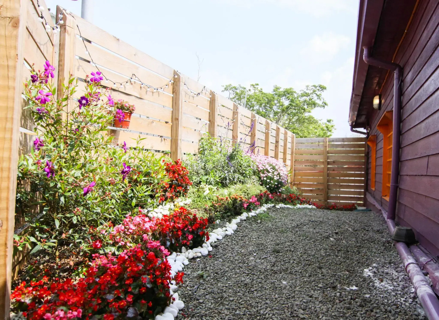 Seeking - Alishan Sunrise