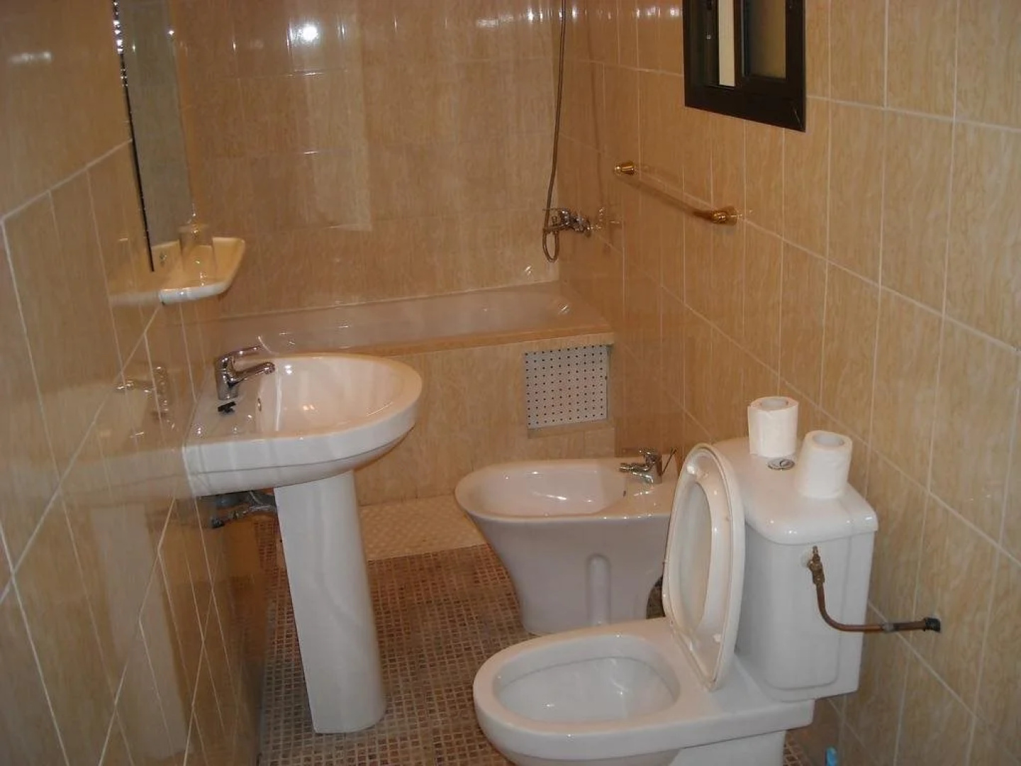 Hotel Aladje