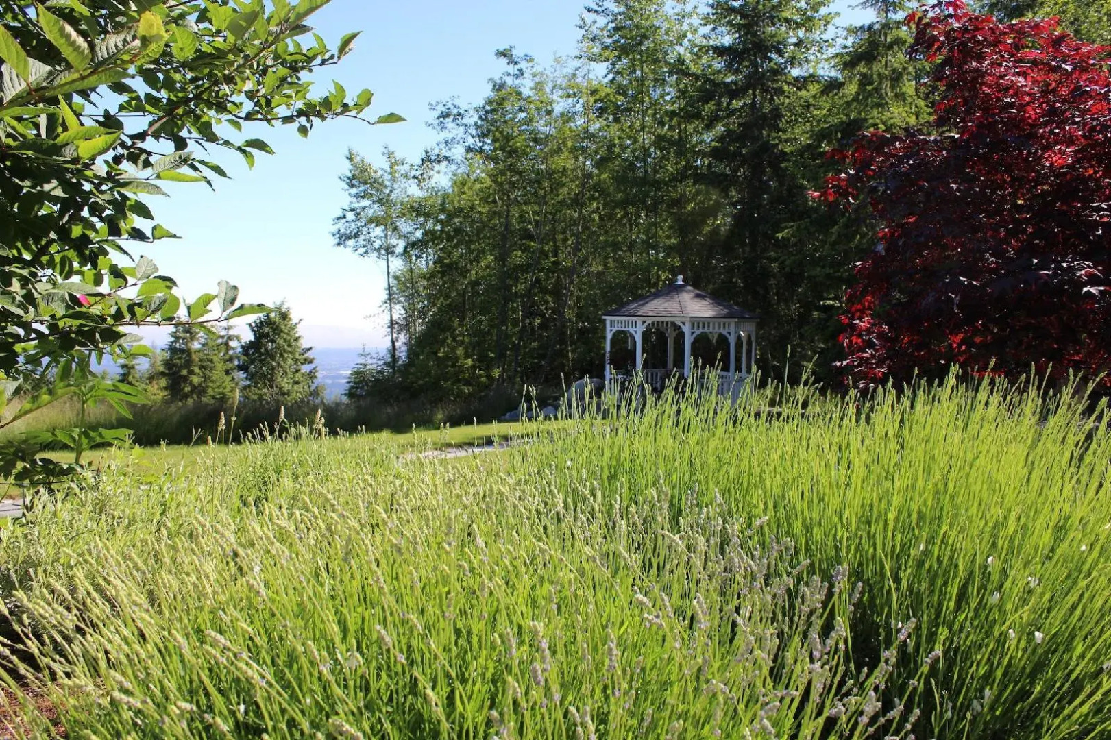 Ambiance Bed & Breakfast