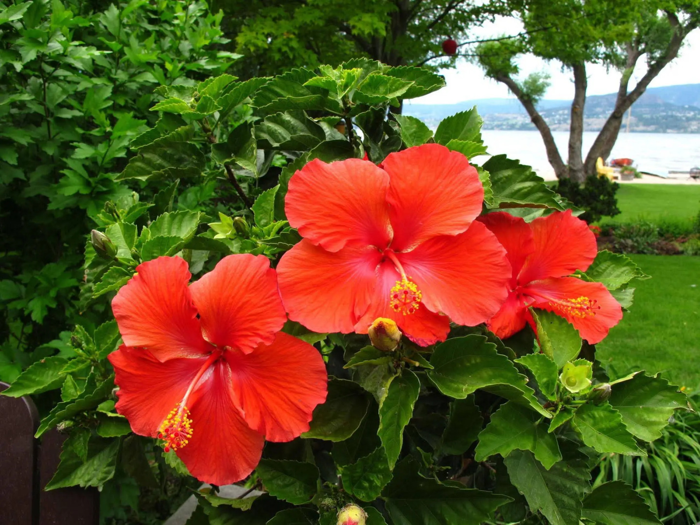 Lakeshore Bed & Breakfast