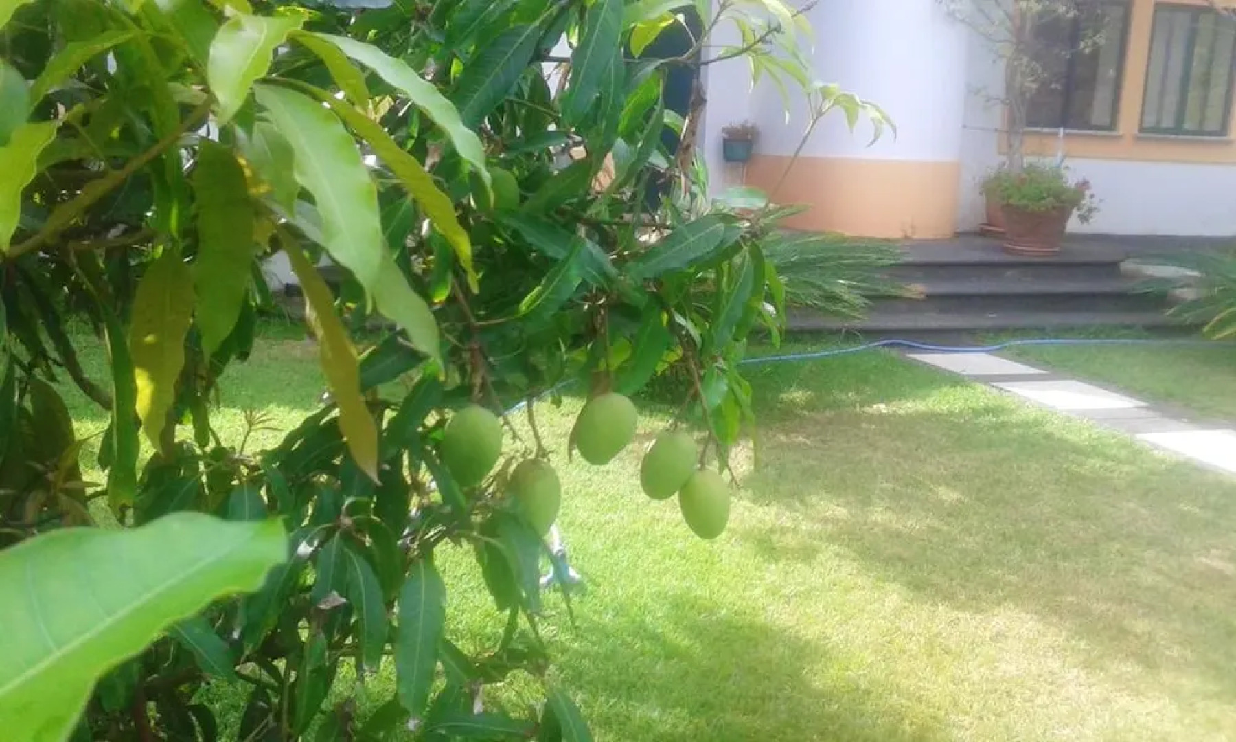 House With 3 Bedrooms in Angra do Heroísmo, With Wonderful sea View, E