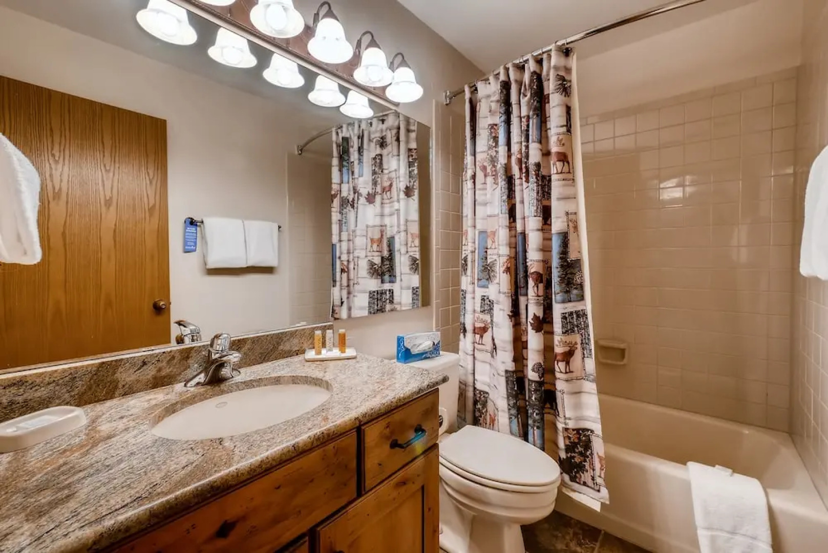 Snow Flower Condos by Steamboat Resorts