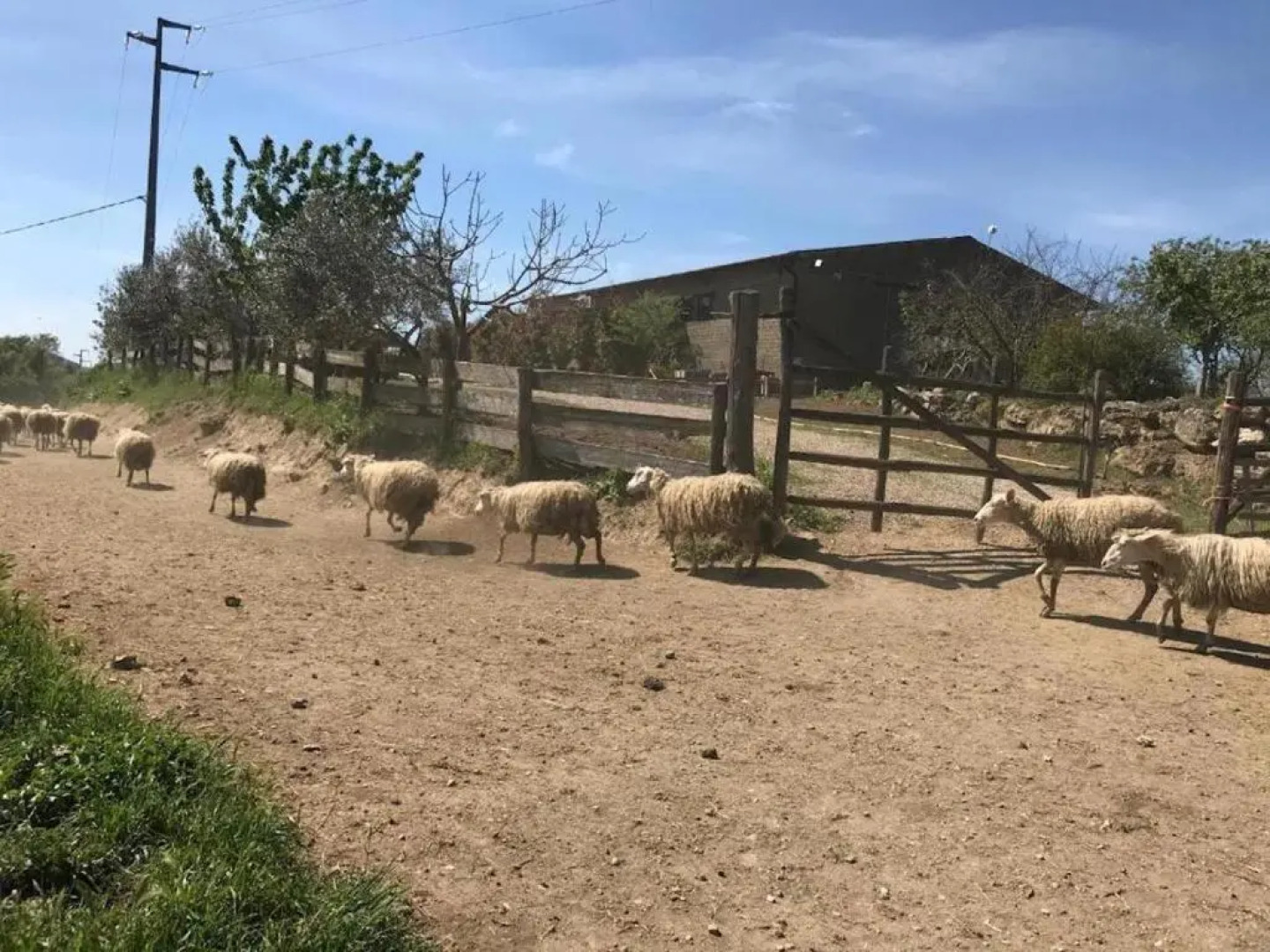 Casa Della Zia Rosa (Adults Only)