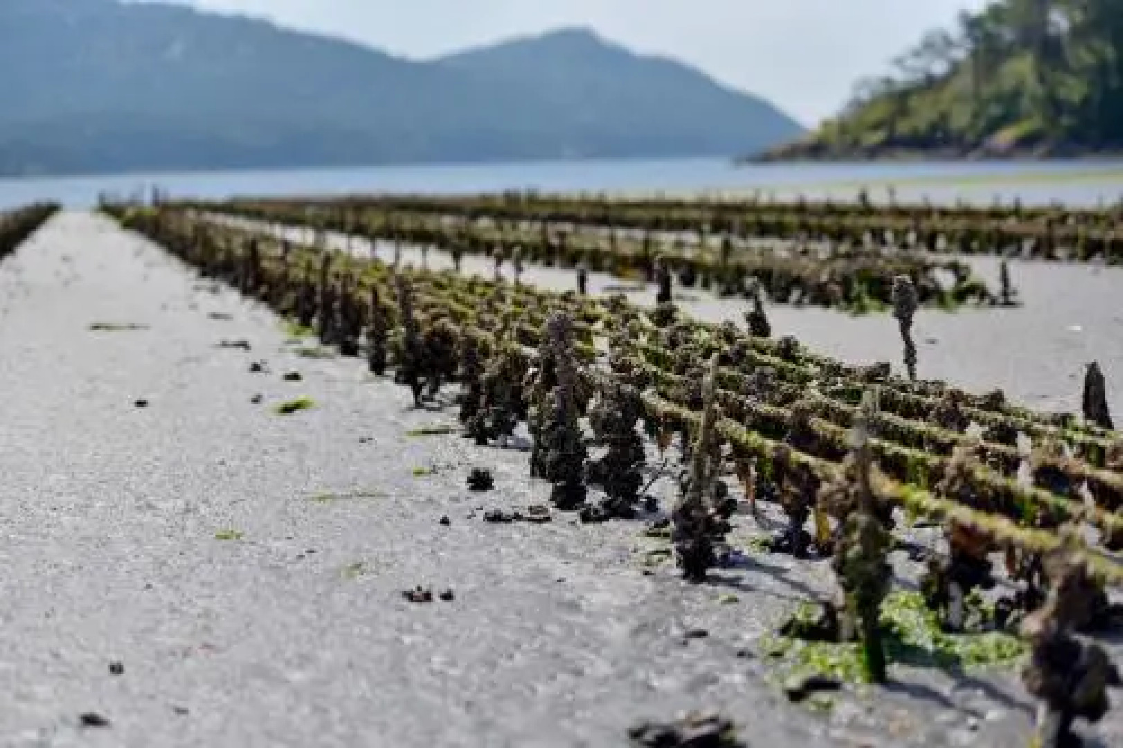 Otters Pond Bed & Breakfast