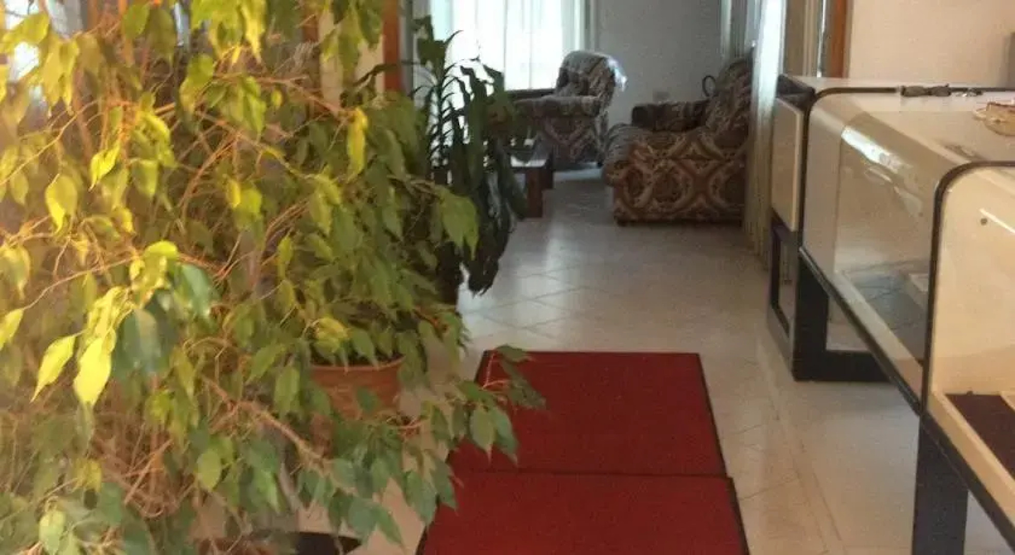 Motel Papaleo