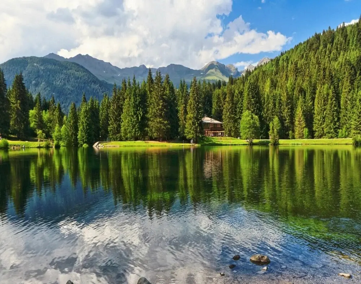 Apartment in Pellizzano