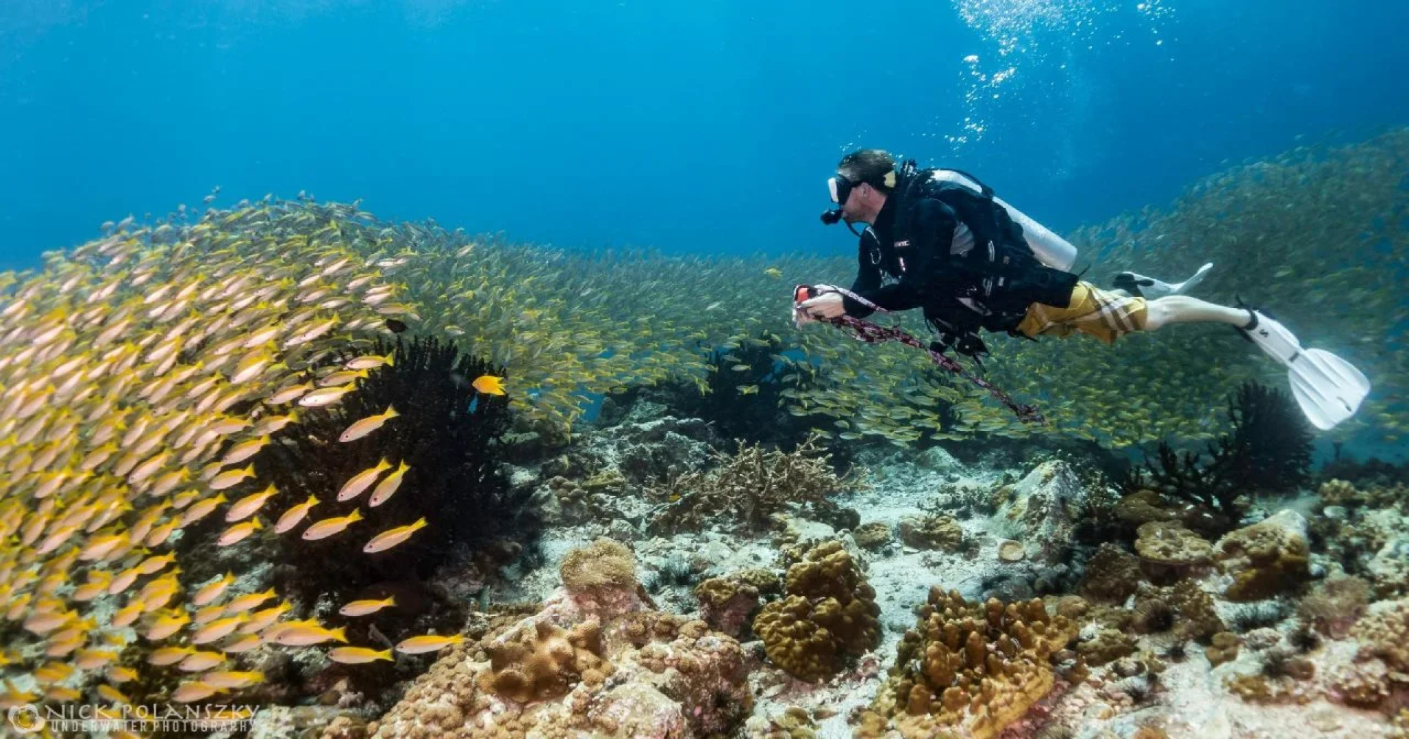 Forra Diving Resort - Sunrise Beach - Koh Lipe