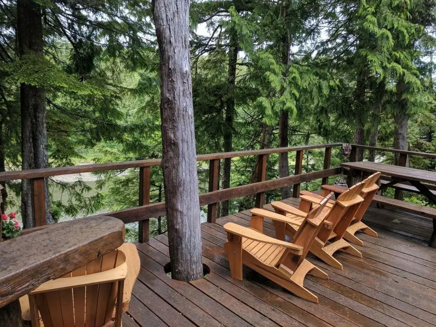 Wild Pacific Waterfront Cabins