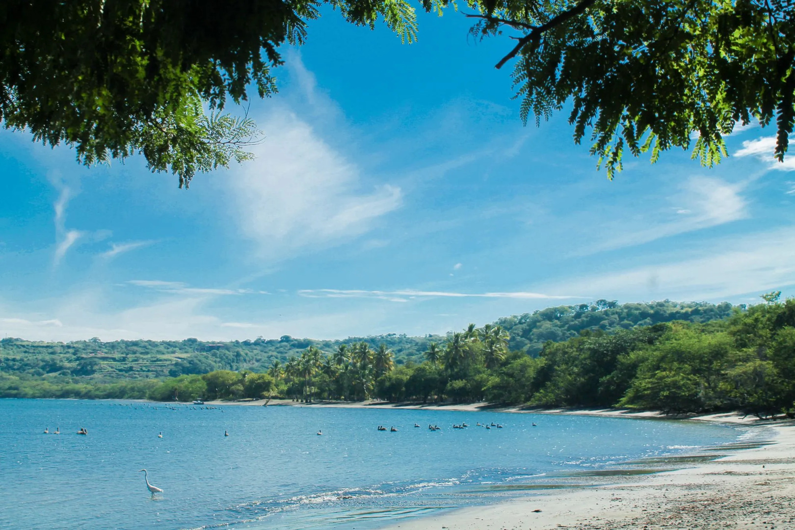 Papagayo Golden Palms Beachfront Hotel