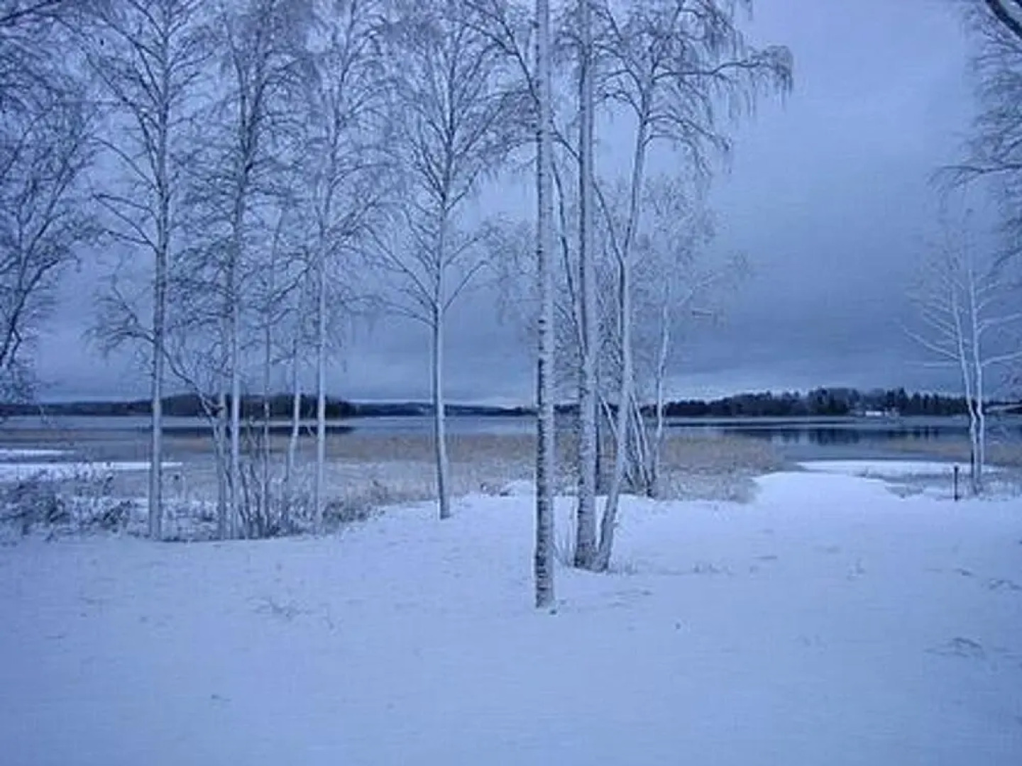 Patrakka H Meenlinna