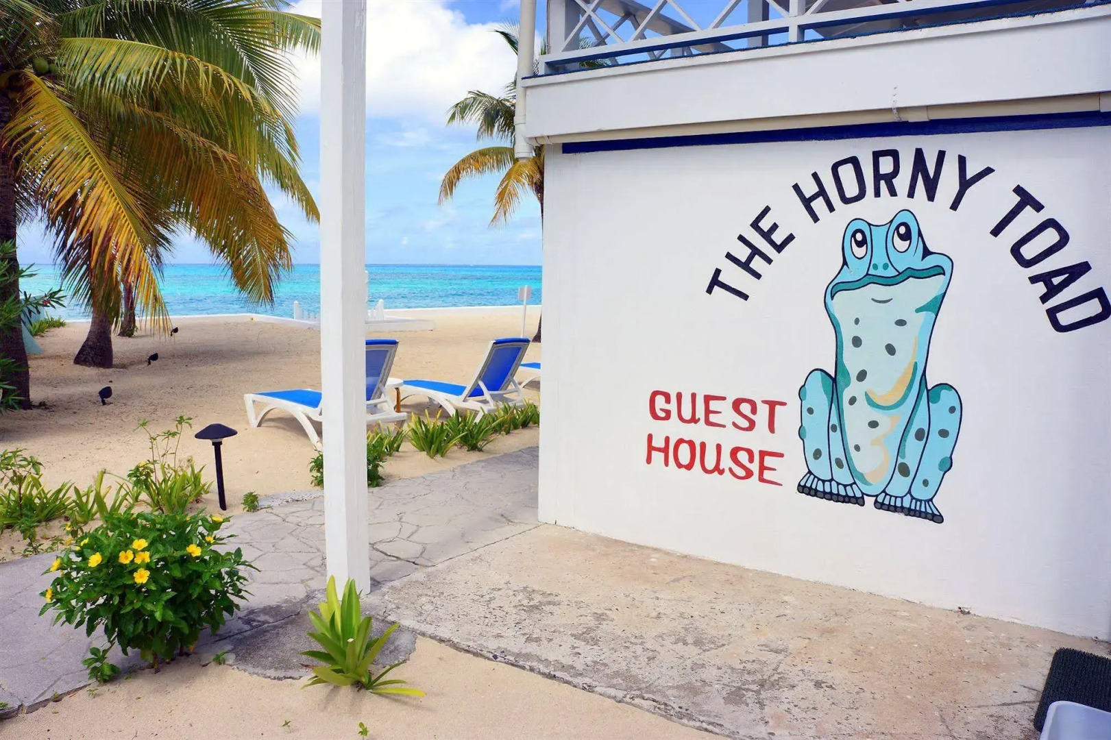 The Horny Toad Guesthouse