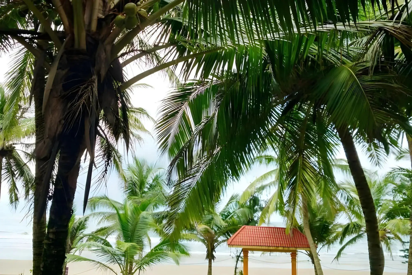 Gokarna International Beach Resort