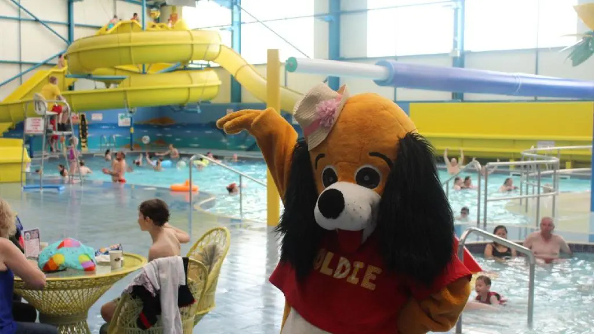 Cosey 3 Bedroom Mobile Home Golden Palms Resort