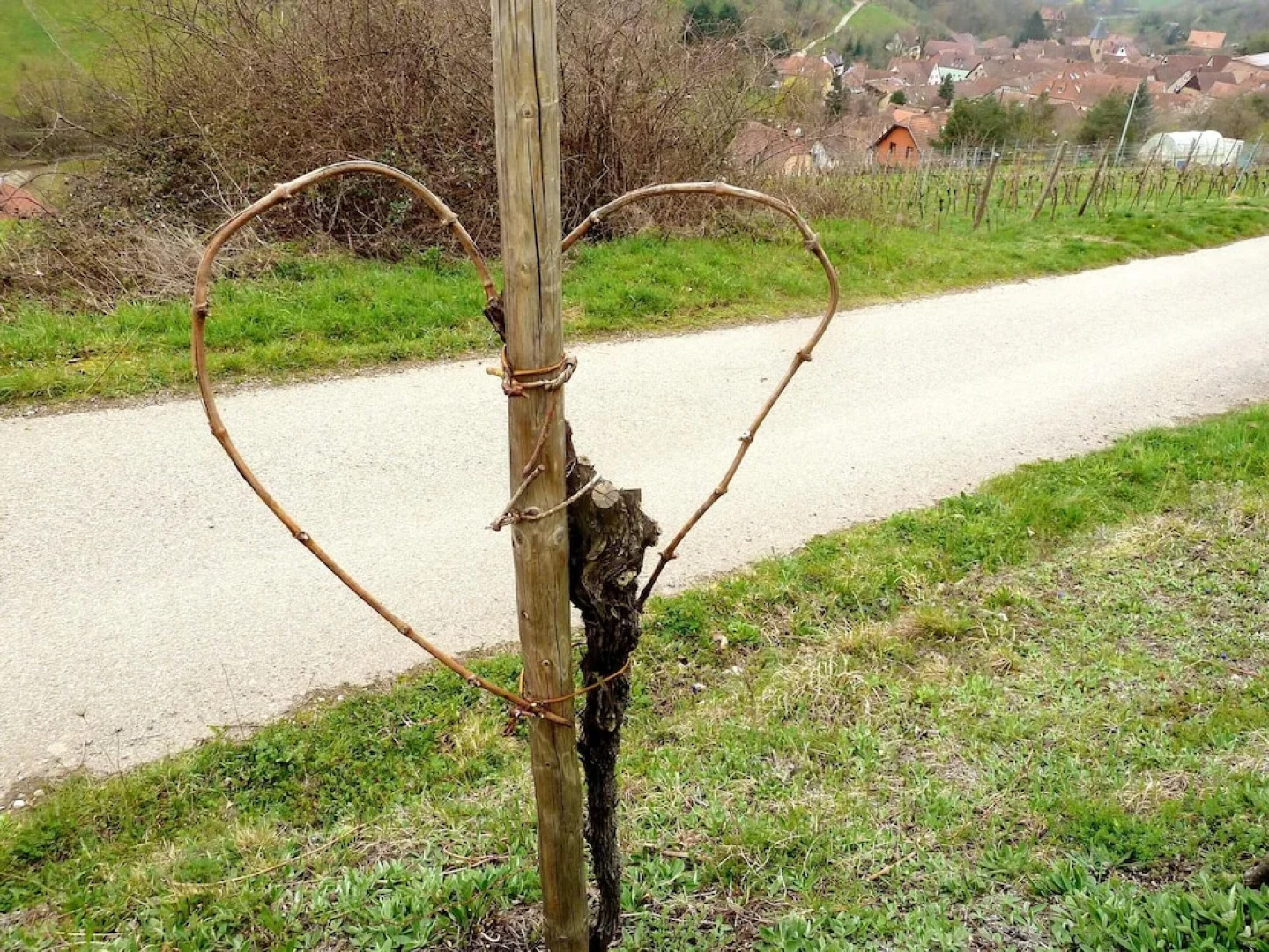 House With 3 Bedrooms in Epfig, With Furnished Garden and Wifi