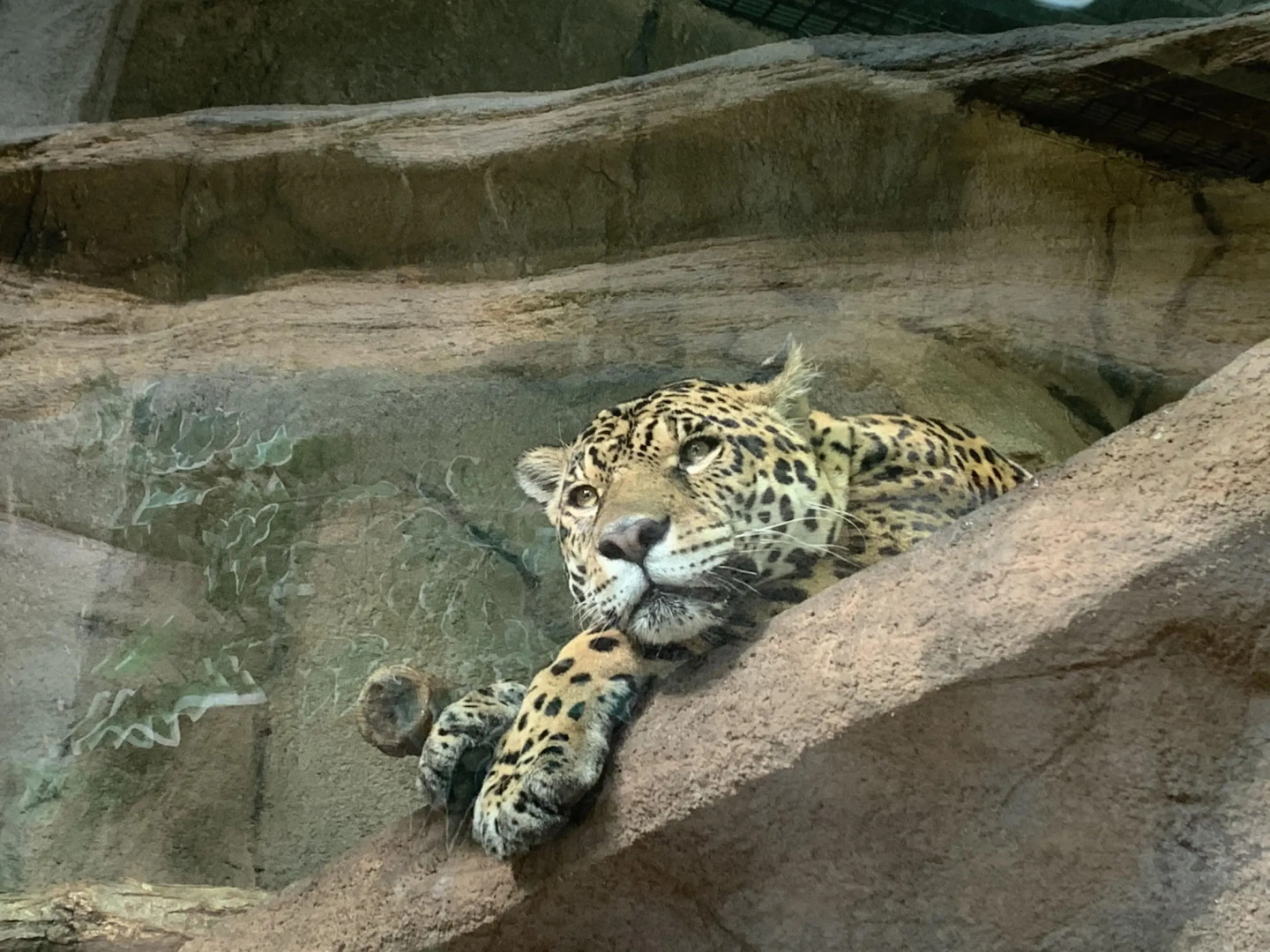 Nasu-Kogen Pension Tam