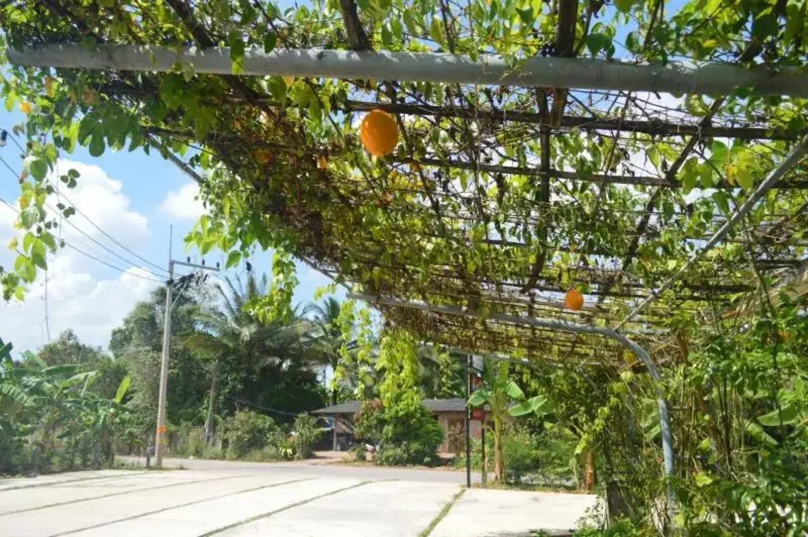 Be Fine Sabuy Hotel and Resort by ZUZU