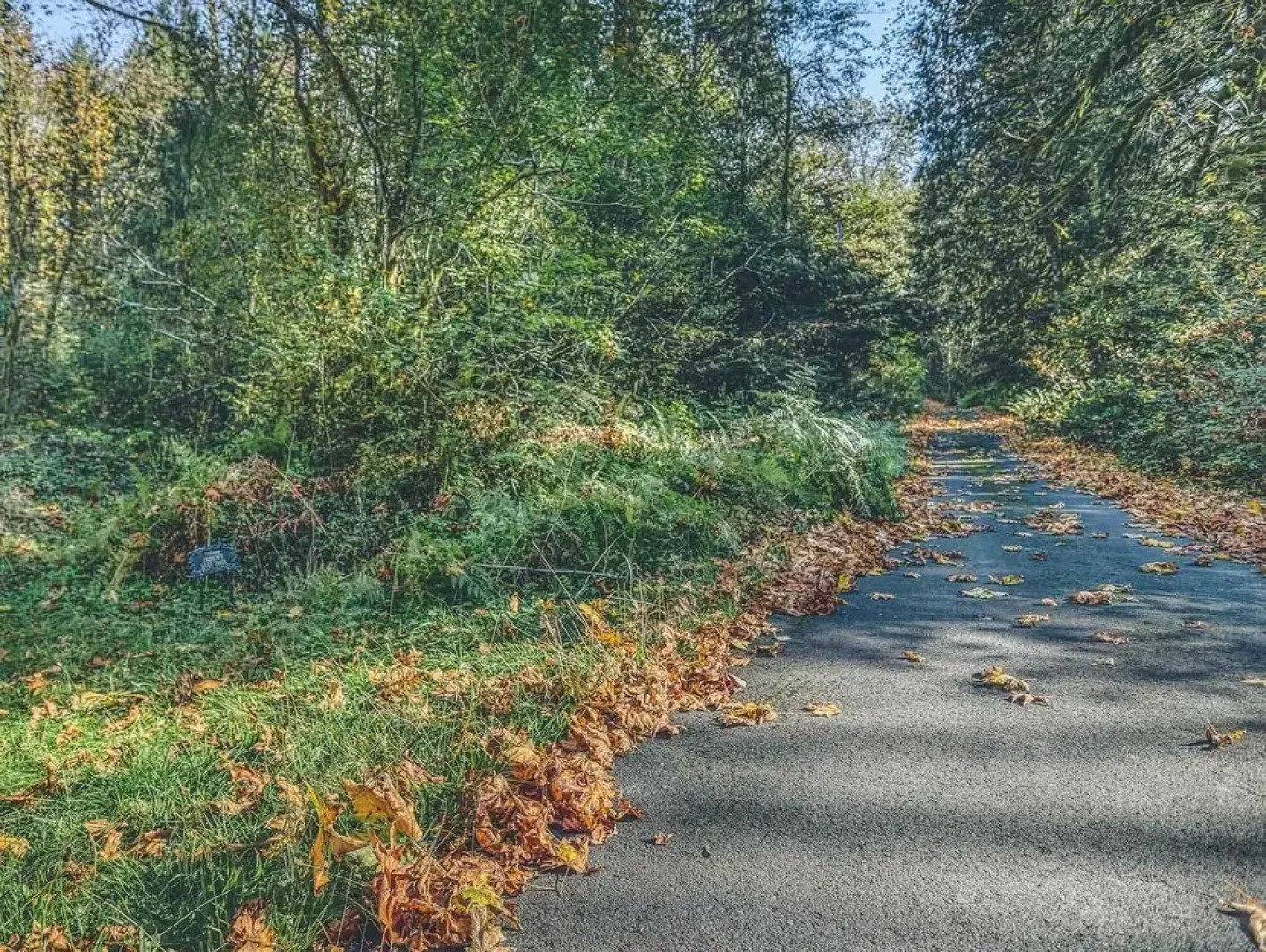 Crystal Creek Chalet