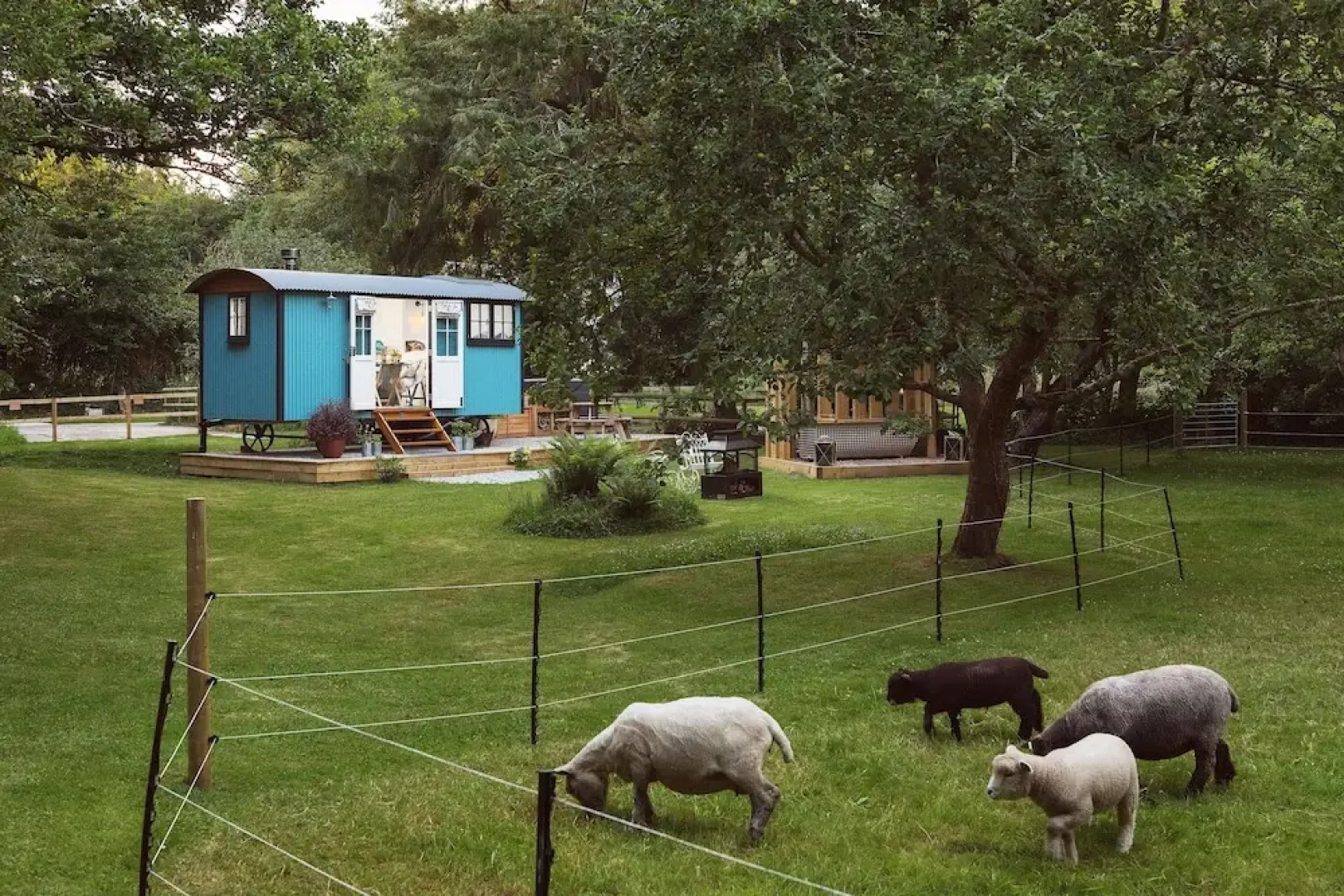 The Wriggly Tin & Baa Spa at Tregoose Old Mill