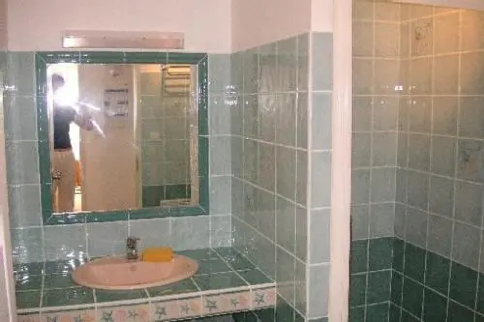 Les Cigales du Ventoux