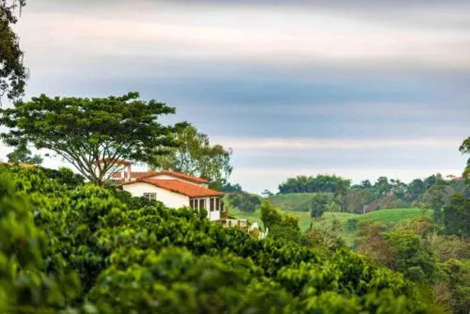Hotel Estrella Del Monte