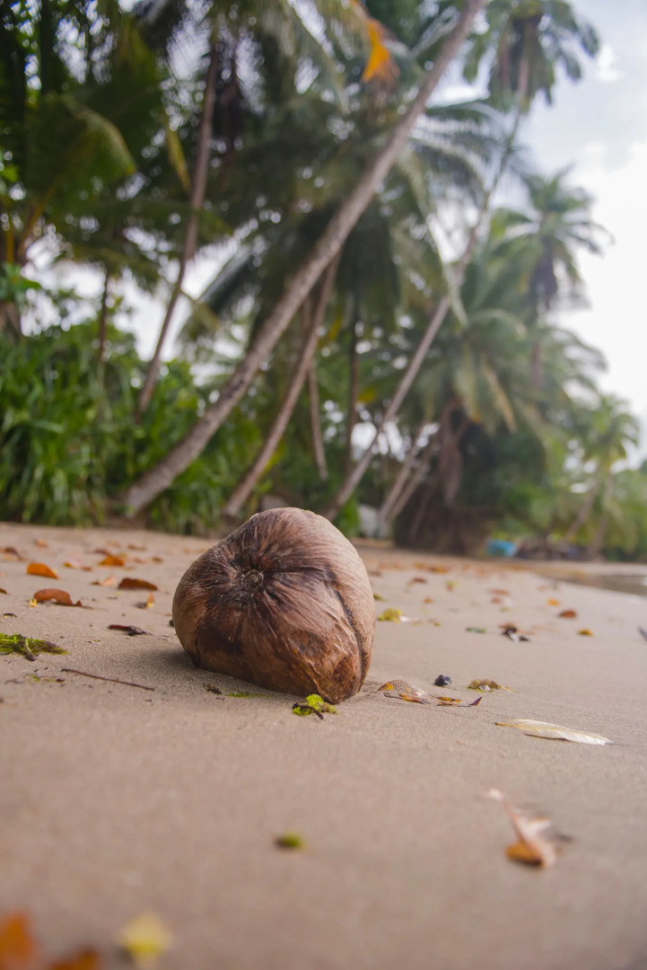 Atlantique View Resort & Spa, an Ascend Collection