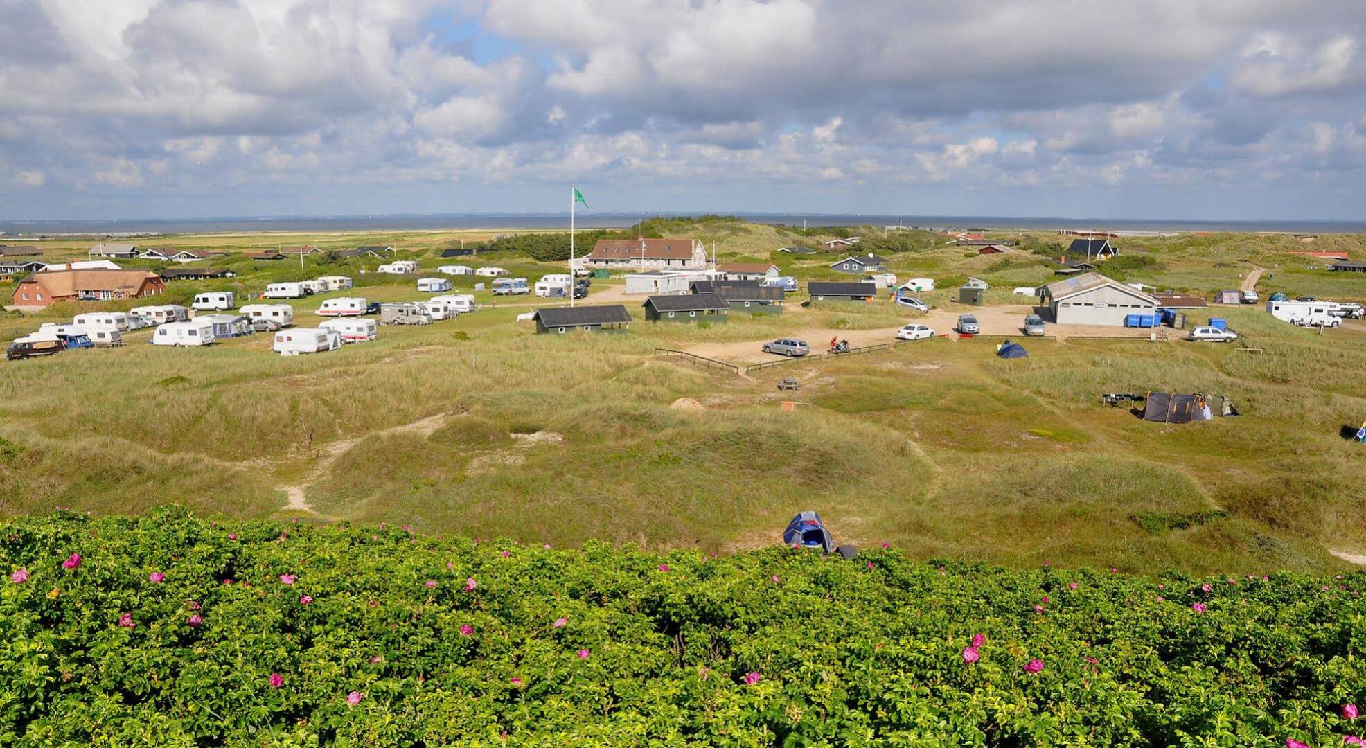 Holmsland Klit Camping & Cottages