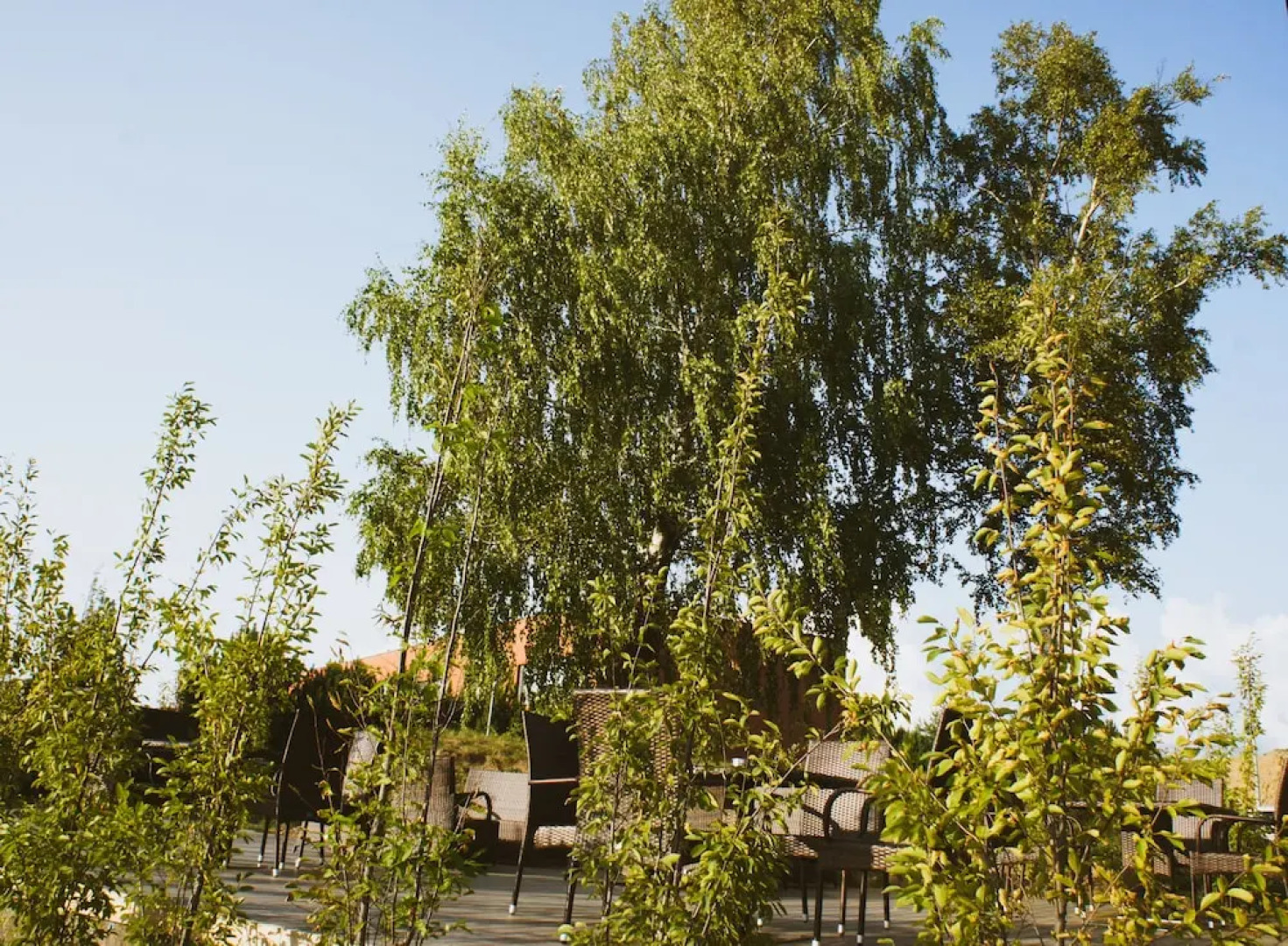 Zaliasis Slenis — отель с самостоятельным заездом