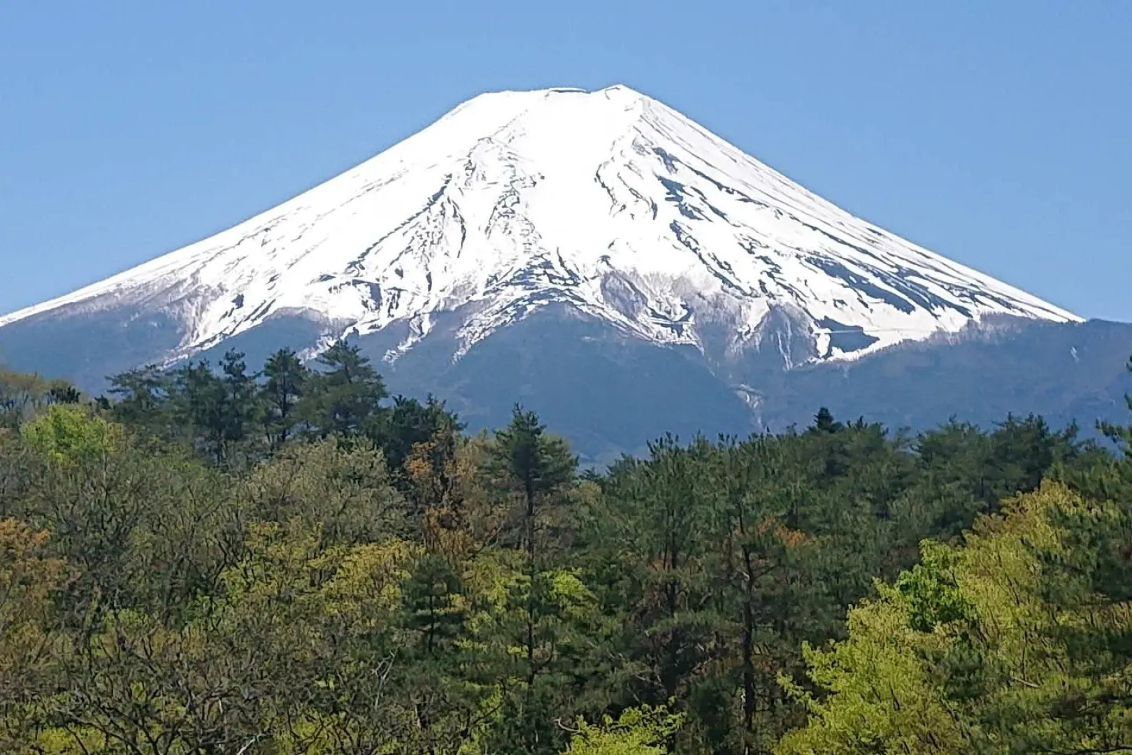 @ Home Hotel BELLKANEYAMA Fujisan Resort&Business