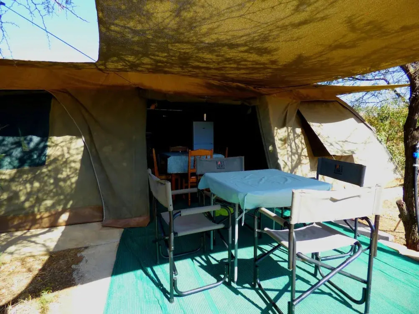 Thorn Tree Bush Camp