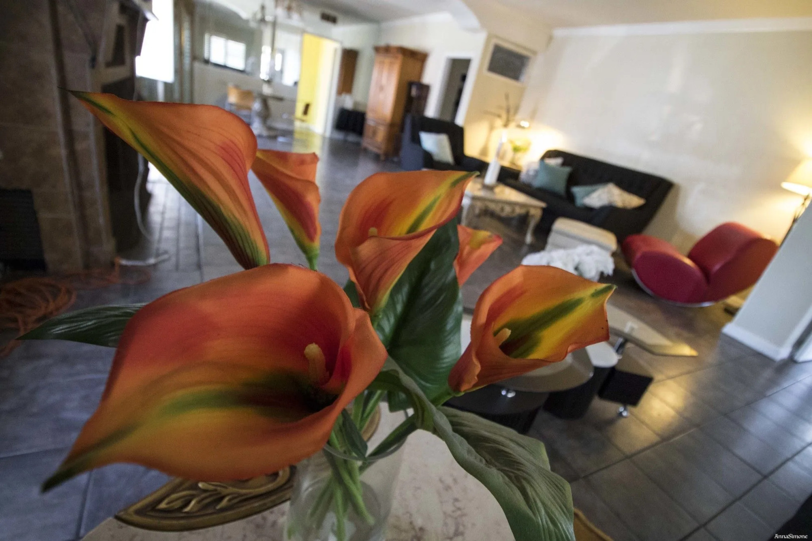 The Anderson Estates