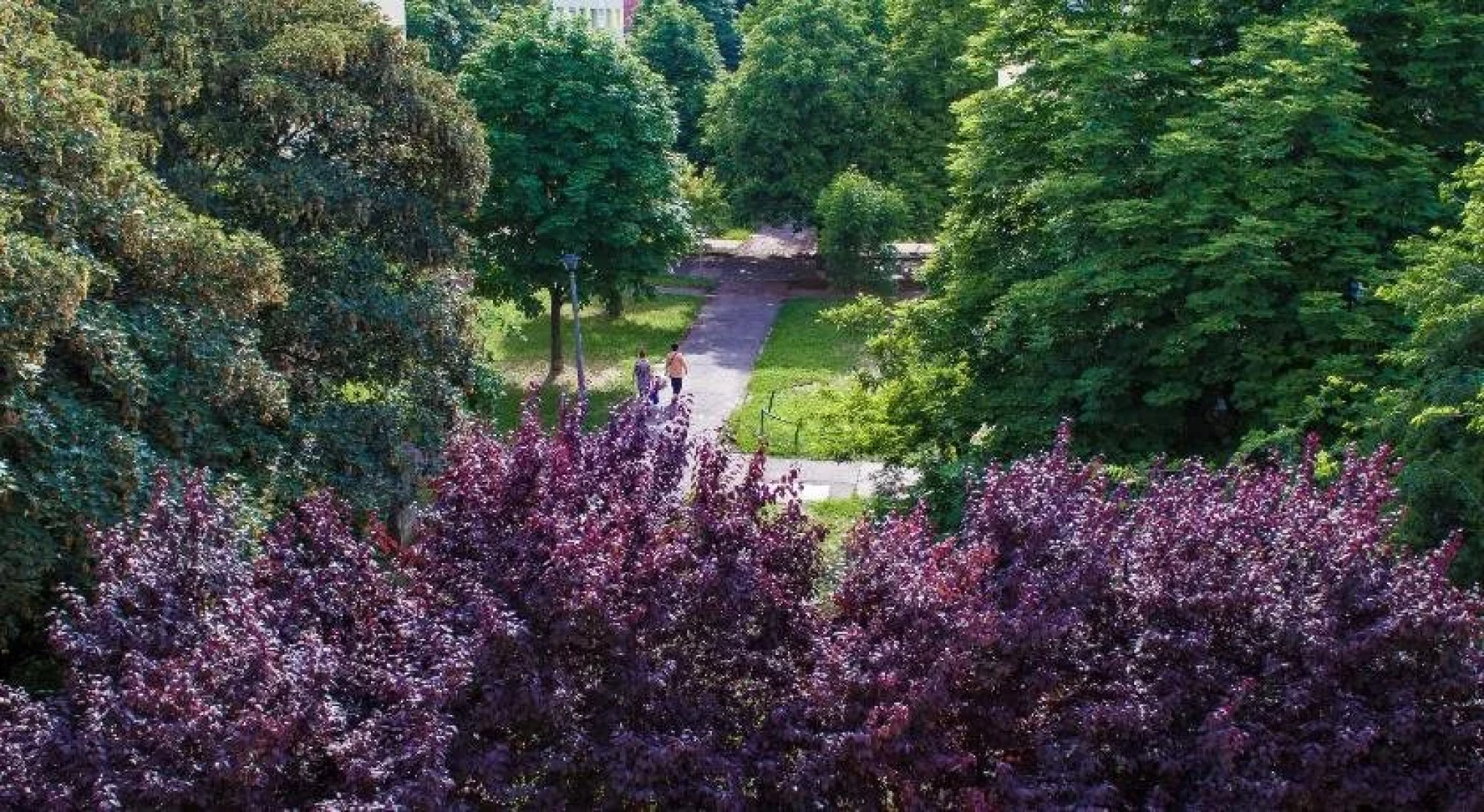 Nexus Apartman Szeged