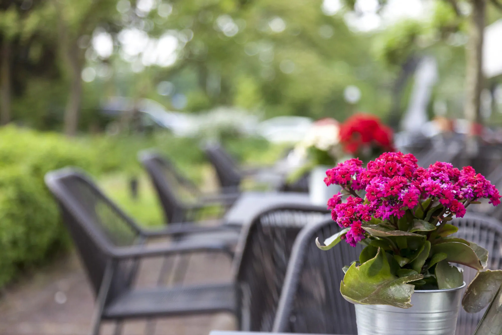 Fletcher Hotel Frerikshof